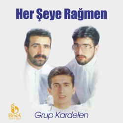 Bir Güvercin Olsam