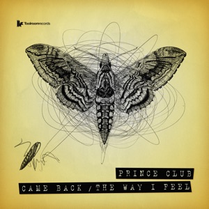 Came Back / The Way I Feel - Single
