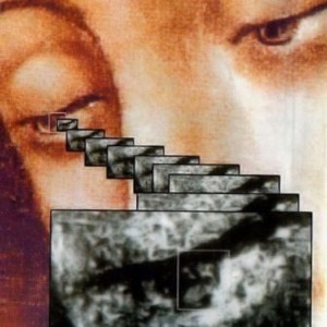 The Mold - Single
