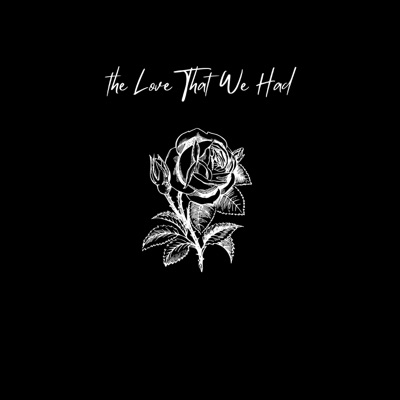 The Love That We Had - Single