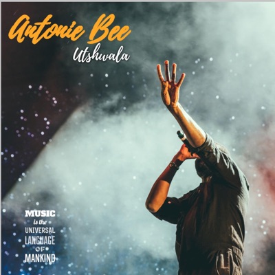 Utshwala (Audio mix) - Single