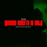 Wioska Ukryta W Bólu - Single - sako