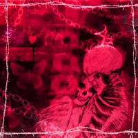 In Us I Trust - Cainn9ne