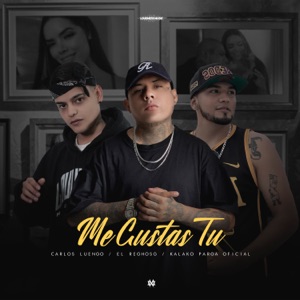 Me Gustas Tu (feat. Carlos Luengo & Kalako Parga Oficial)