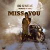 Miss You - Single