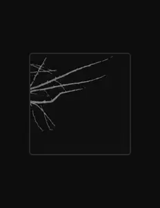 Poslechněte si interpreta Liam Howlin, sledujte hudební videa, přečtěte si životopis, podívejte se na data turné a další informace.