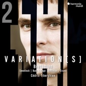 Beethoven: Complete Variations for Piano, Vol. 2 artwork