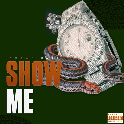 Show Me - Single