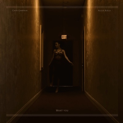Want You - Single