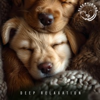 Deep Relaxation - EP - Sleepy Dogs