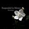 Oceanic Dreamscape - Duvetsqua lyrics