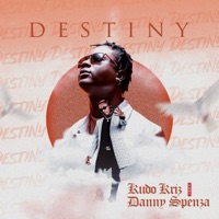Destiny (feat. Danny Spenza) - Single - Kudo Kriz
