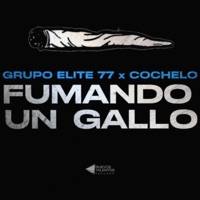 FUMANDO UN GALLO (feat. Cochelo) - Single - Grupo Elite 77