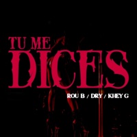 Tu Me Dices (feat. Dry & Khey G) - Single - Roub