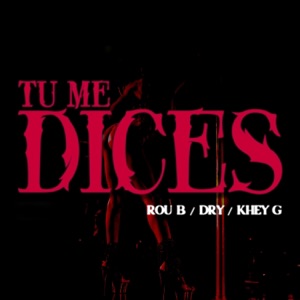 Tu Me Dices (feat. Dry & Khey G)