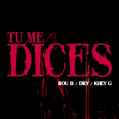 Tu Me Dices (feat. Dry & Khey G) - Single