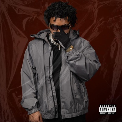 VEJIGANTES DE SWAROVSKI - EP