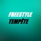 Freestyle Tempête - Gringo2F lyrics