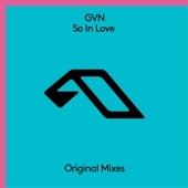 So In Love (Extended Mix) artwork