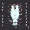 Not Real - Single