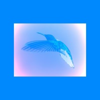 Synonymous - Single - Erik Evy