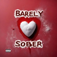 Barely Sober (feat. Chayse Bank) - EP - Joey Shellz