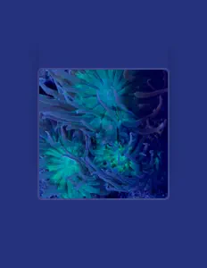 收听 Dondo、观看音乐视频、阅读小传、查看巡演日期等 ！