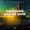 Somewhere Only We Know
