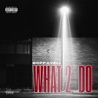 What 2 Do - Single - Boppaveli