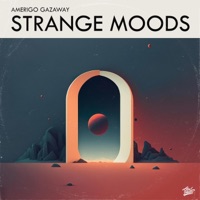 Strange Moods - Single - Amerigo Gazaway