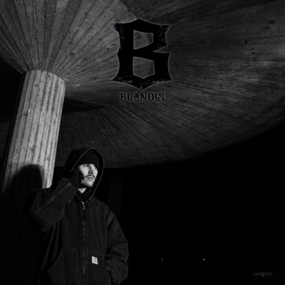 Valintojes Diileri (feat. Nahkatukka & DJ Yollu) - Single