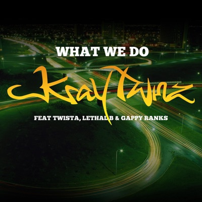 What We Do (feat. Gappy Ranks, Twista & Lethal B) - Single