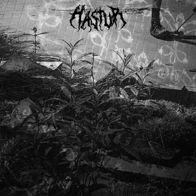 In the Summer - Single