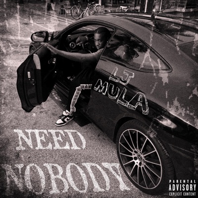 Need Nobody - Single