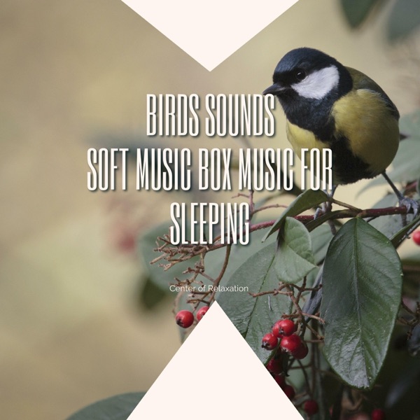 Birds Sounds: Soft Music Box Music for Sleeping
