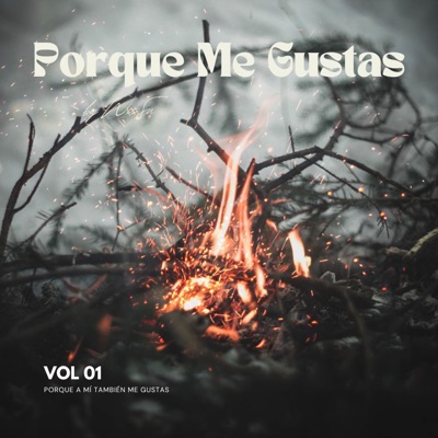 Porque Me Gustas, Vol. 1: Porque a mí también me gustas