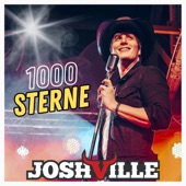 1000 Sterne (Radio Edit) artwork