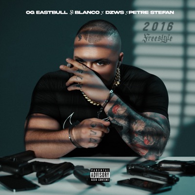 2016 Freestyle (feat. Blanco, DZWS & Petre Stefan) - Single