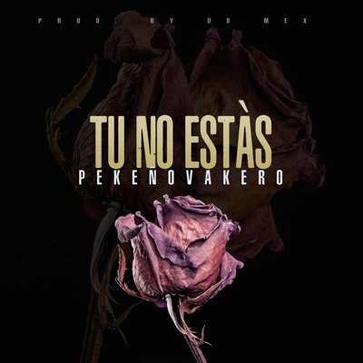 Tu No Estás - Single