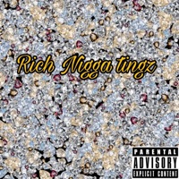 Rich N***a Tingz - Single - NailyDaGoat