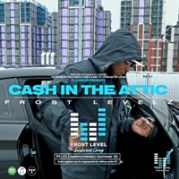 Cash In the Attic - Single - Frost Levelz