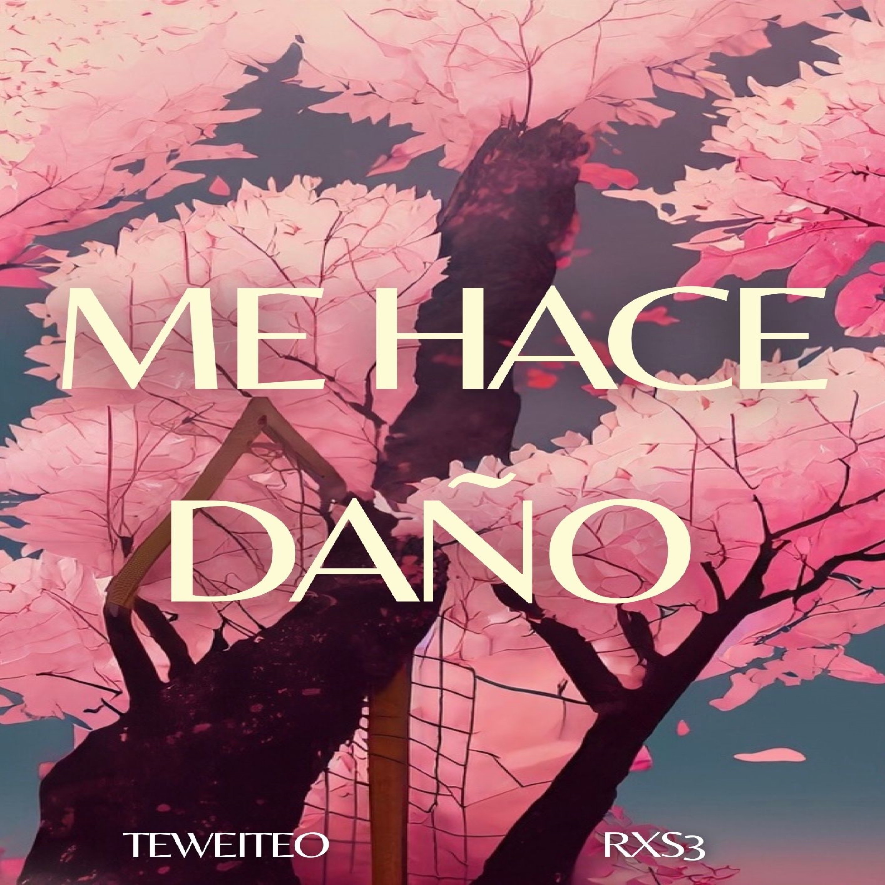 Me Hace Daño - Single
