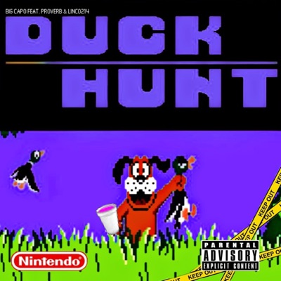 Duck Hunt (feat. Proverb OnDaMic & Linco214) - Single
