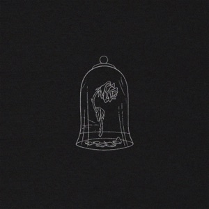 Beauty and a Freak - Single