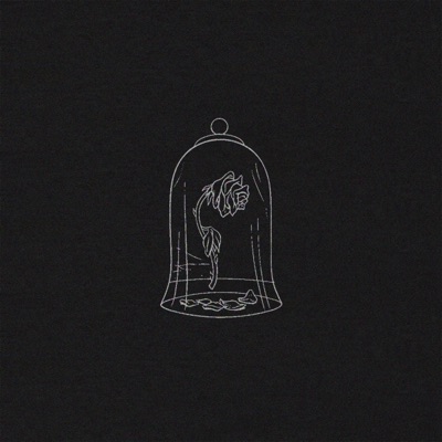 Beauty and a Freak - Single