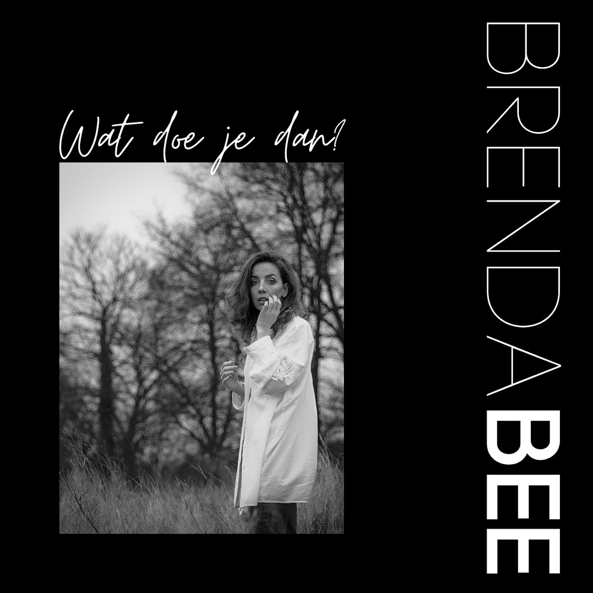 wat-doe-je-dan-single-album-by-brenda-bee-apple-music