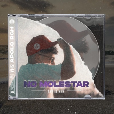 No Molestar - Single