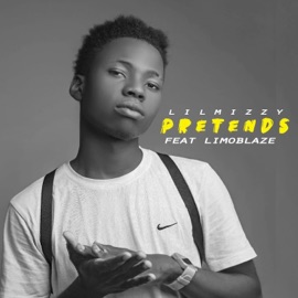 Pretends (Limoblaze Remix) Lilmizzy & Limoblaze