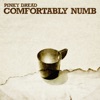 Comfortably Numb - Single