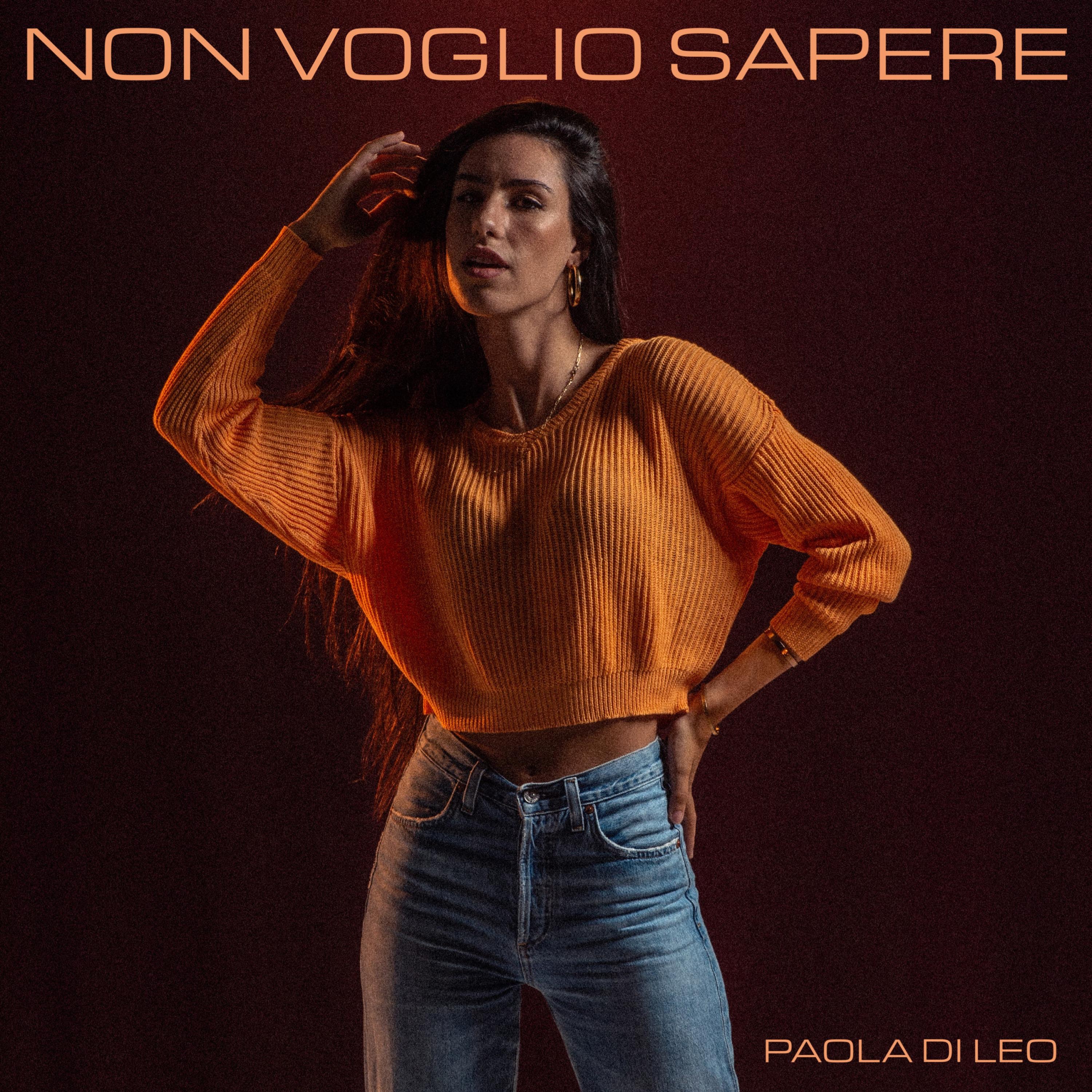 Non Voglio Sapere - Single